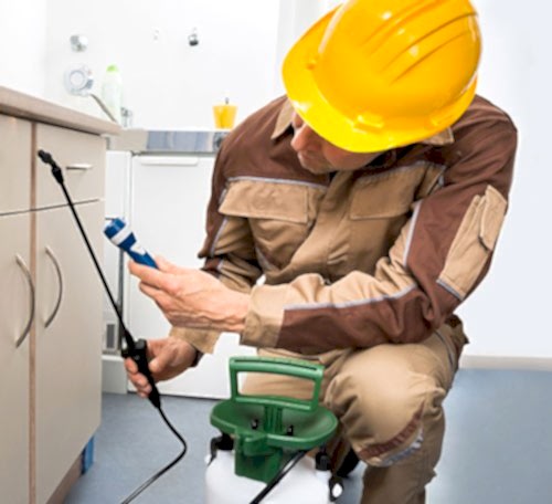 İstanbul Tahtakurusu İlaçlama Servisi